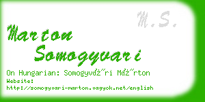 marton somogyvari business card